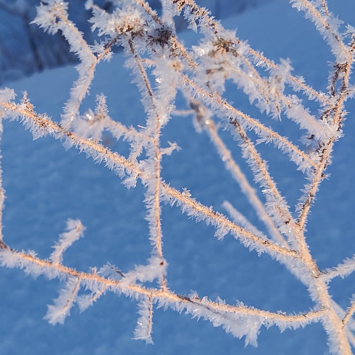 Dr. April Chiriboga tweet media