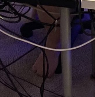 _wisedminded's tweet photo. @hutchinson My guy APL got them gorilla grip toes https://t.co/PPkv7VFO9w
