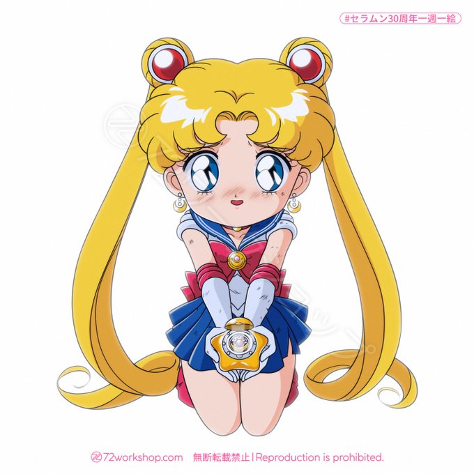 有名なブランド有名なブランド美少女戦士 セーラームーン 月野うさぎ