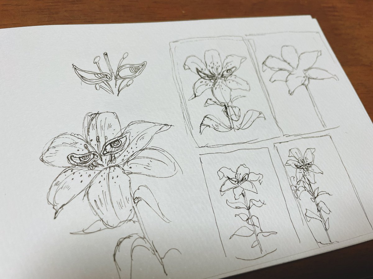 ぱなすこ tweet media