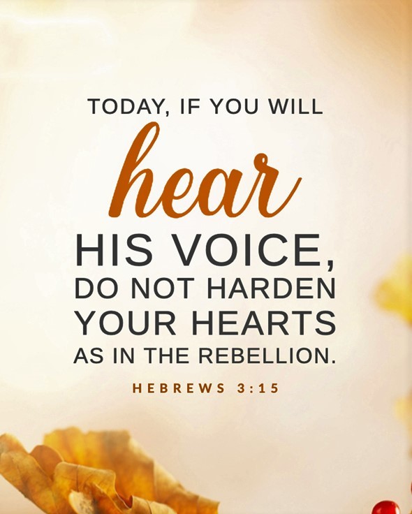 #PrayerofSalvation💛
Dear Lord Jesus
I admit that I'm a sinner.
I repent and ask for your forgiveness.
I believe you died for my sins and rose from the dead.
I want to start anew.
I invite you to come into my heart as my Lord &amp; Savior.
Fill me with your Holy Spirit.
#Amen