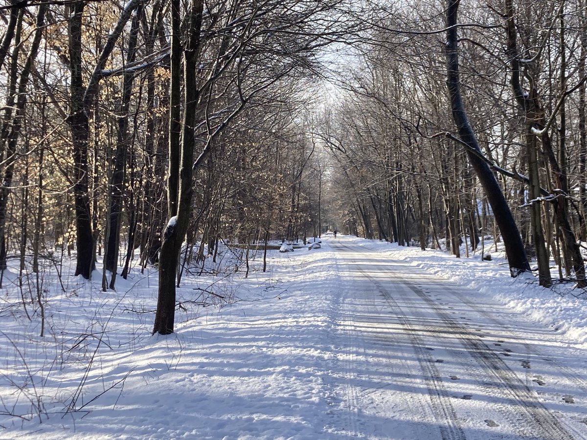 #minutemanbikeway plowed in Bedford and W Lexington with a crusty layer of ice on most of it and a few rough icy sections (128 bridge especially). Traction definitely recommended. Should be some melting today so conditions will likely change, esp if there’s a refreeze tonight.