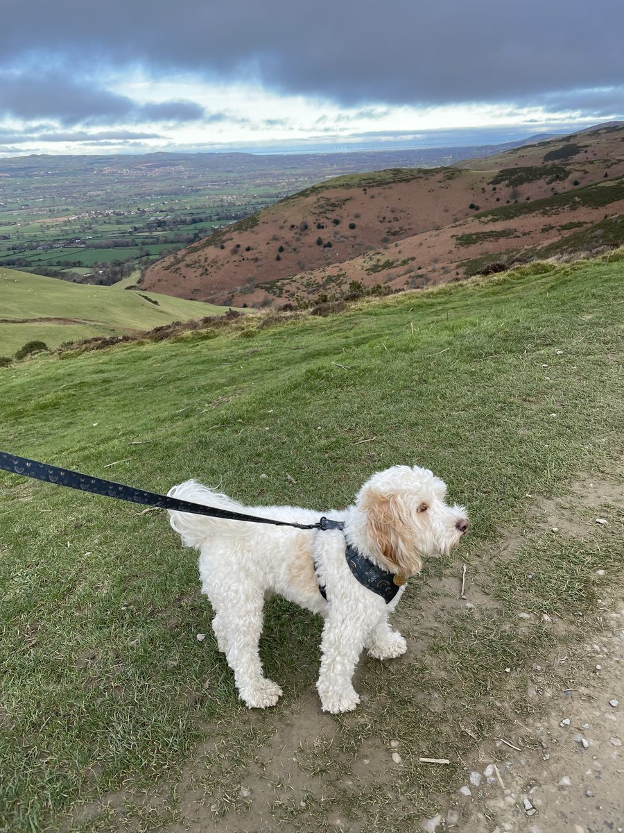 ๐๐ณ๐ถ๐ฎ๐ฃ๐ด ๐๐ฉ๐ฆ๐ด๐ต๐ฆ๐ณ ๐ง๐ช๐ฐ tweet media