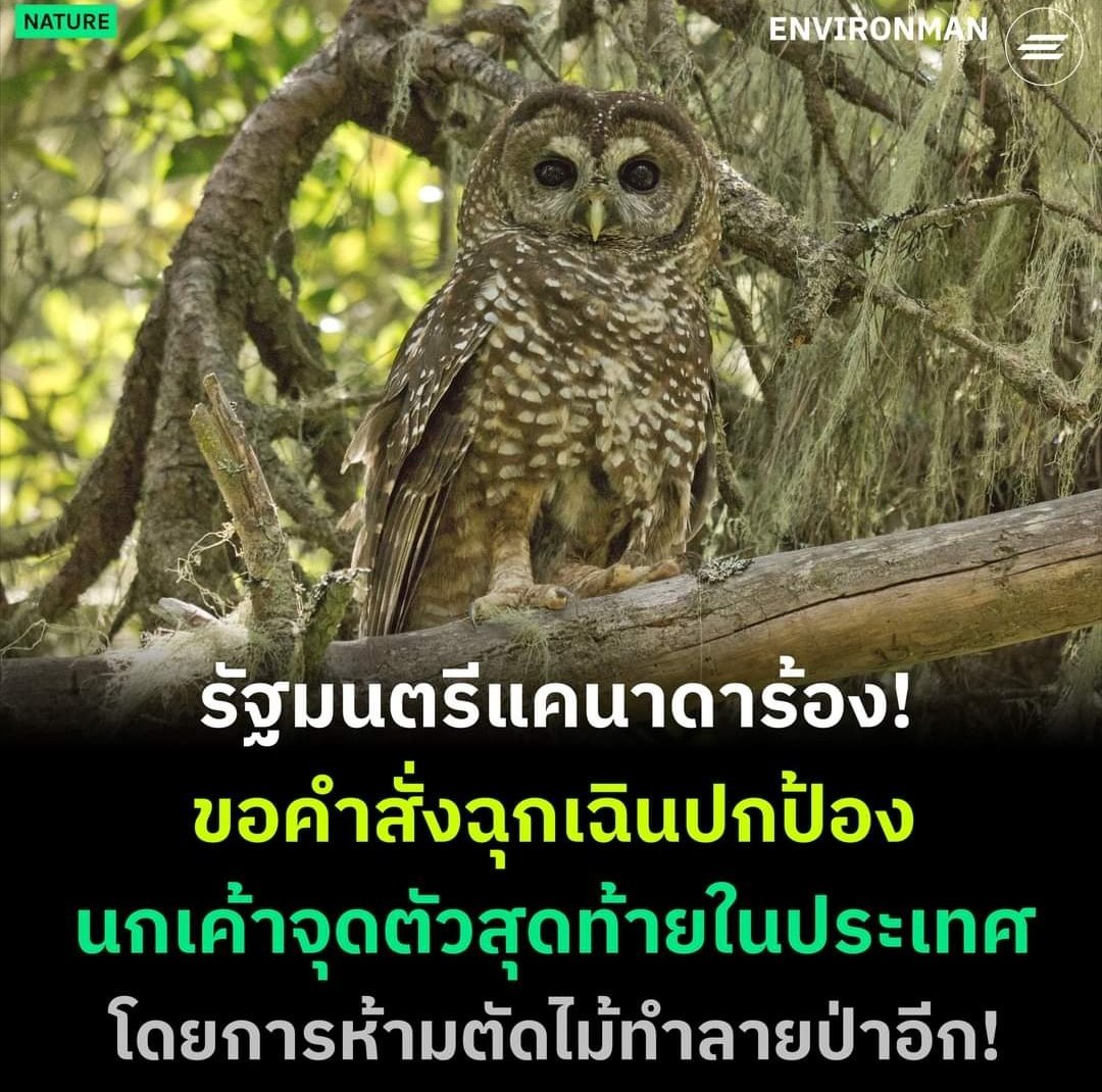 TarotYouuuu's tweet image. สงสารน้องมาก น้องเหลือตัวสุดท้าย ไม่เหลือใครอีกแล้ว ขอให้น้องปลอดภัยด้วยนะครับ