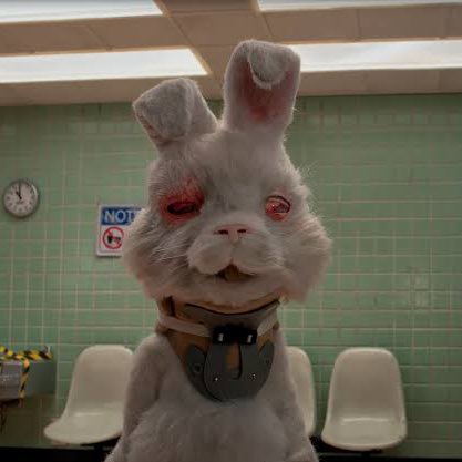 choquei's tweet image. 🚨BRASIL: Governo proíbe uso de animais vertebrados, como cachorros, ratos e coelhos, em testes para cosméticos e perfumes.