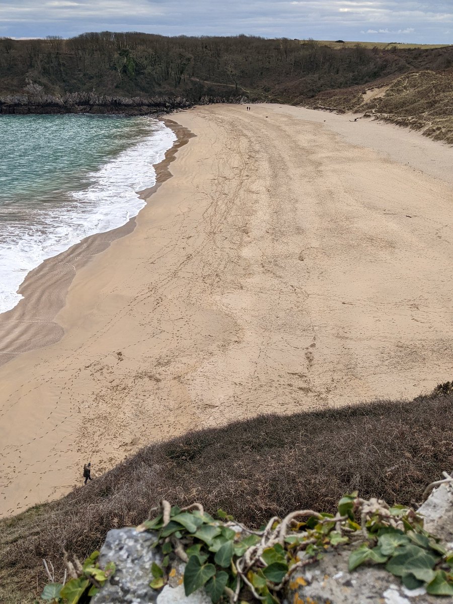 daveainsworth63's tweet photo. This is Barafundle Bay one of the best beaches in Wales. We walked here yesterday 🏴󠁧󠁢󠁷󠁬󠁳󠁿 #Barafundle #Beach #Pembrokeshire https://t.co/QAS2iMUa4k