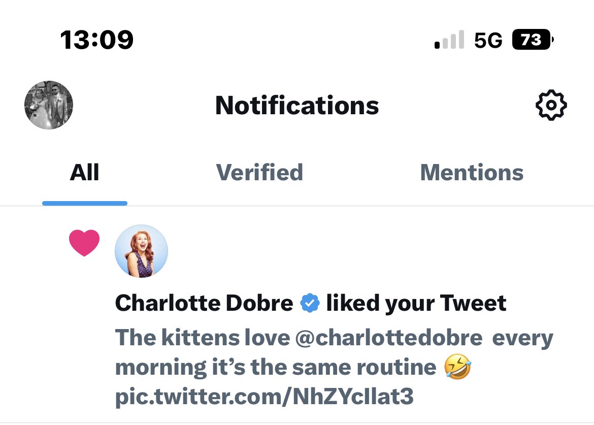bethanyfsharpe's tweet photo. Life made @charlottedobre  the kittens (aka Margot and Robbie ) are happy they have got your attention ❤️💜 https://t.co/dvMar7XtMu