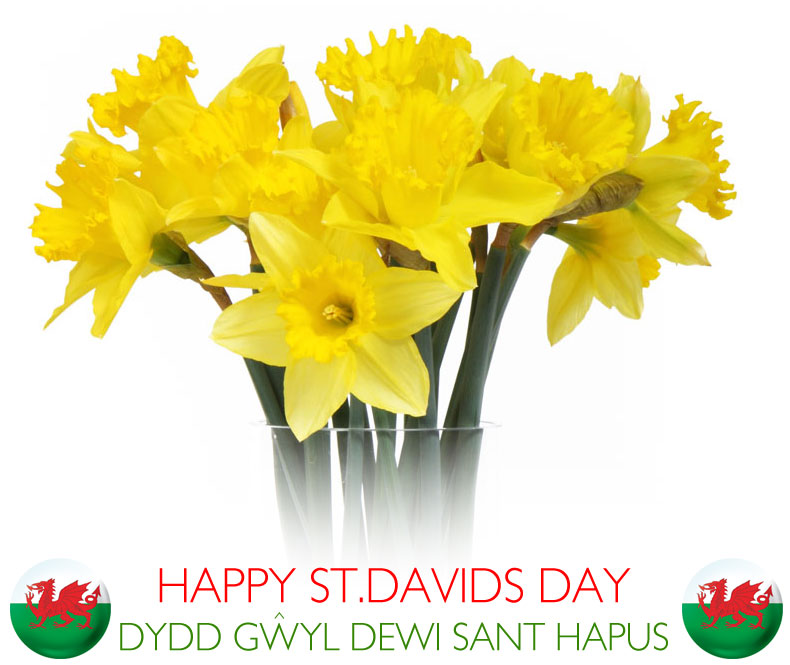 Boss Wales tweet media