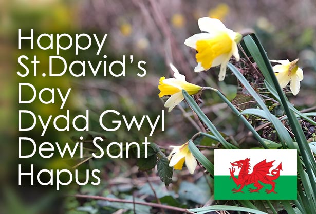 Boss Wales tweet media