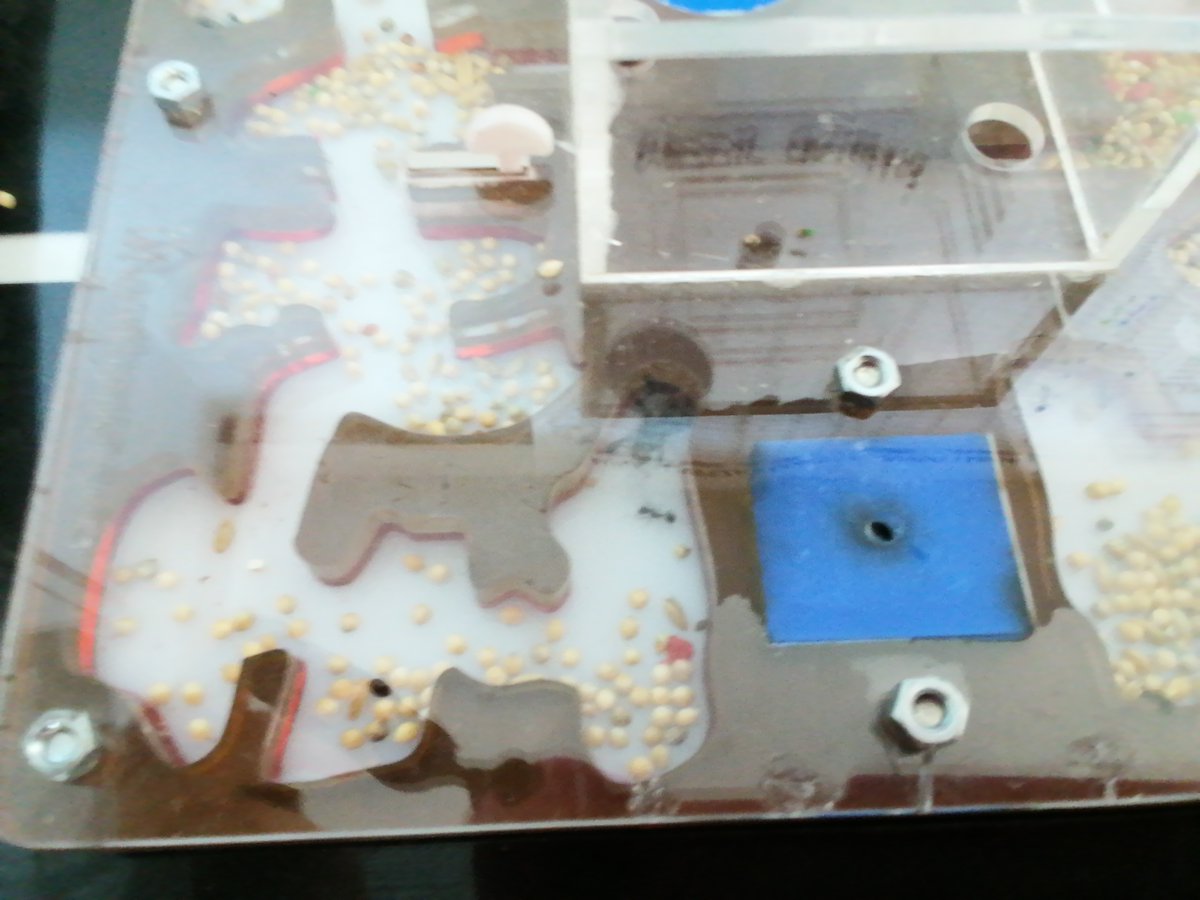 CEIPLAREDO's tweet photo. ๐ INFORME #formigueando 01-03-2023 :
- Especie investigada: Messor Capitatus
- Curso Investigadora: 4ยบ EP
- Nยบ Colonia: 15 formigas.
#laredolab361 #clubciencialaredo
๐ Informes completos : https://t.co/ZirNtsggWi https://t.co/INxtL9bMVp