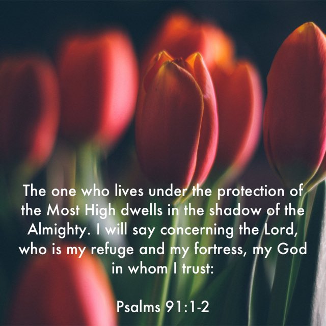 bible.com/bible/1713/psa…