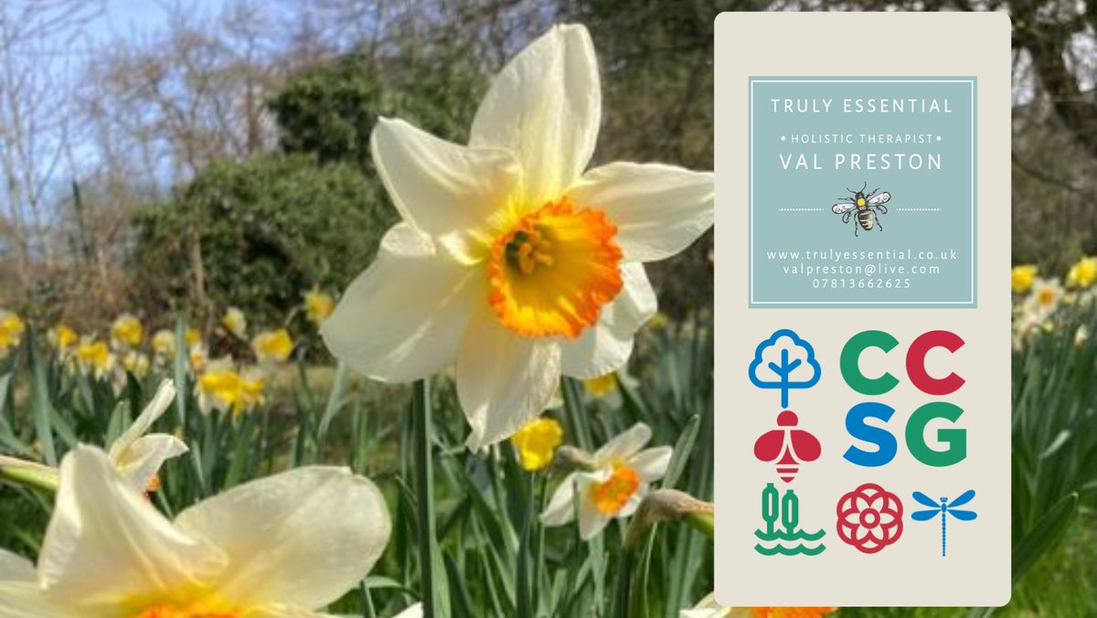 March is about balance, mindful connections and community. See more trulyessential.co.uk/tai-chi-qigong/
#mindfulmarch #InternationalWomensDay2023 #TrulyEssentialTaichi #ActiveWellbeing #Women #wellness