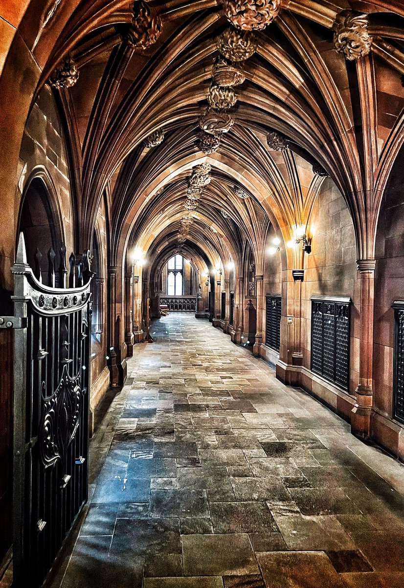Where’s Harry… John Rylands Library, Manchester #worldlibraries #library #visitmanchester #beautifularchitecture