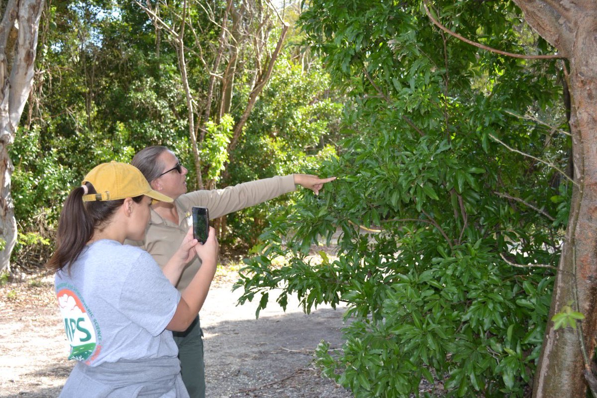 FCousteauOLC's tweet photo. April 1, 2023 from 8AM - 12PM The Florida Department of Environmental Protection is hosting a Bioblitz in Key Largo. Volunteers will gather images of plants and animals found in the park post to iNaturalist (https://t.co/LKKvu2zXQi) Follow us for more information!
#FCOLC #bio https://t.co/NpgmR0A2FI