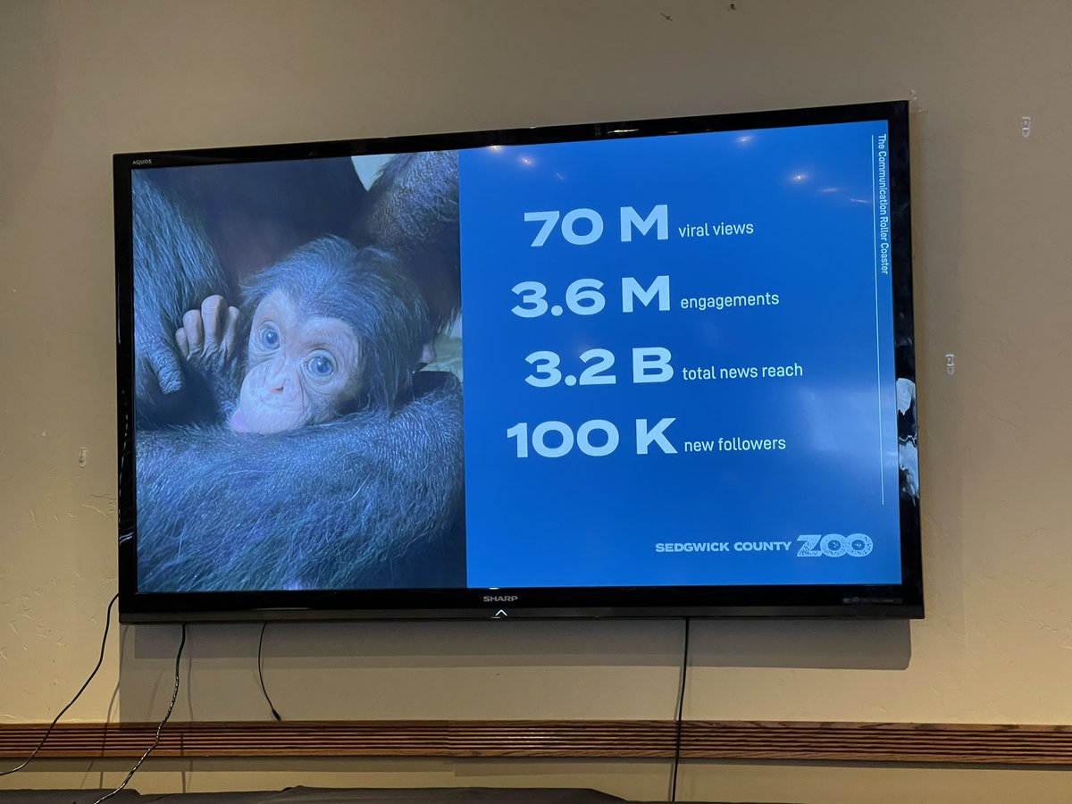 Jennica King of <a href="/SedgwickCoZoo/">Sedgwick County Zoo</a> talks about The Communication Roller Coaster surrounding a viral news story #chimplove #wpcchat #wichita