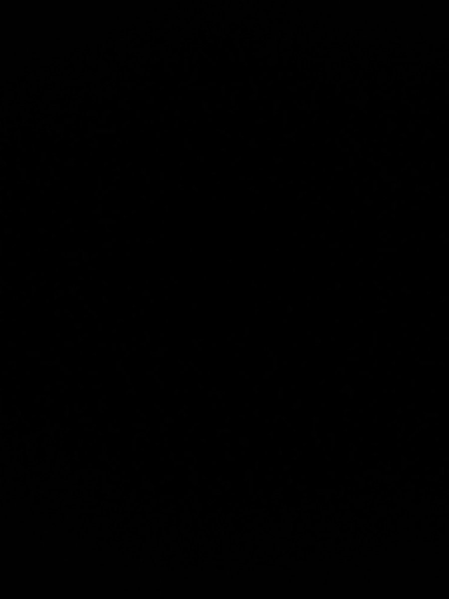 AdamWeseman's tweet image. Darkness retreat day 2:

Hat man told me the name of his dead rabbit is Peter Cottontail. Doing some critical thinking on the JFK assassination. I'm pretty sure my butt is clean. Maybe not.

#Poo #Coverup #notdramatic # 🤙