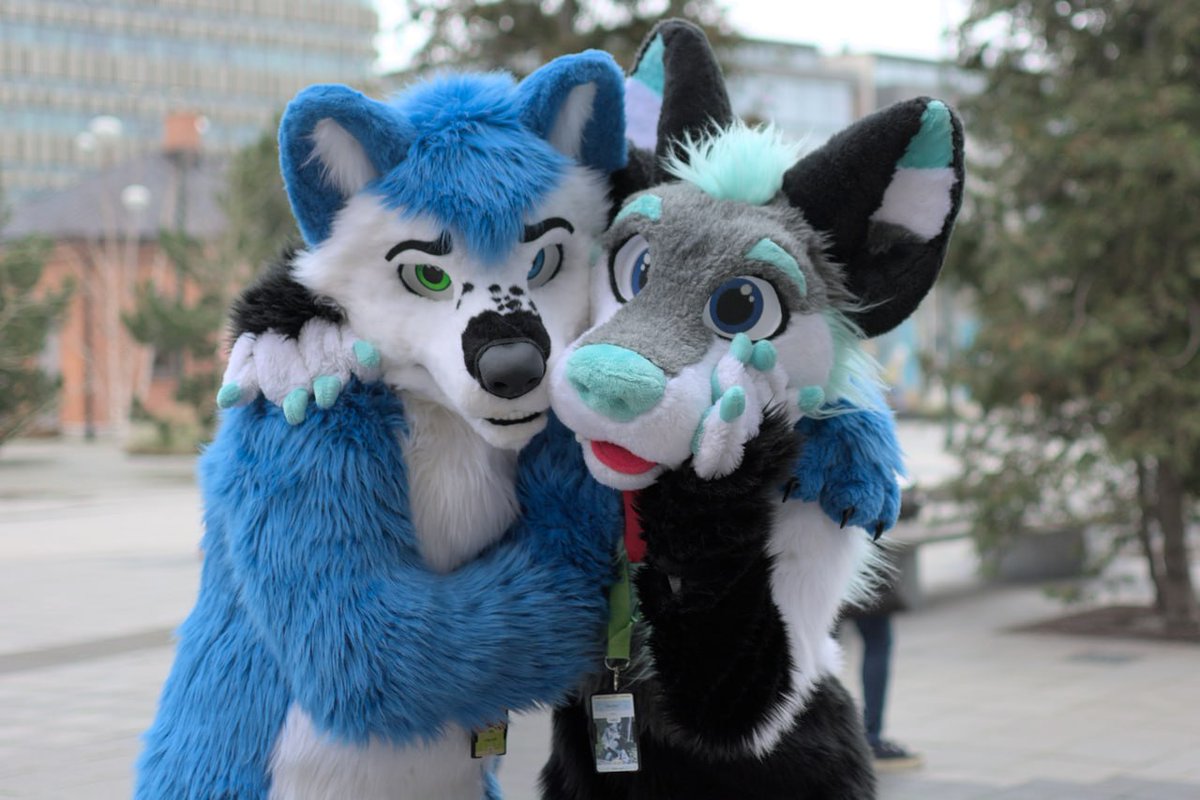 Not every day you see such a cutie around! @SwifterBlue #NFC2023 📷By @IceDragonPhotos