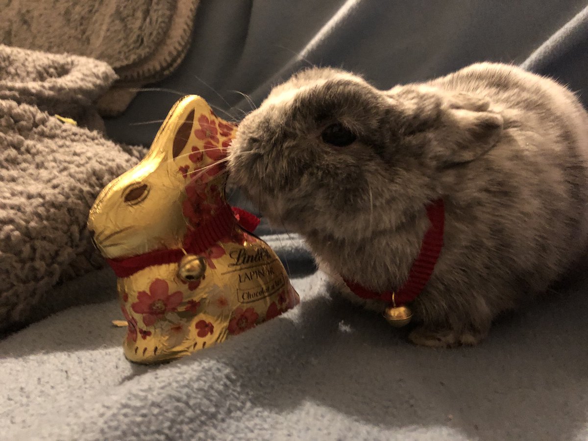 Lindt Lapin Or 💛