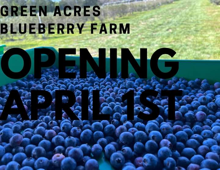 Joining Our Traffic Team Radio Network: Green Acres Blueberry Farm a family owned and operated blueberry farm located in Spring Hill! We would love to have you join us! We need Vendors! starts April 1st YoupickBlueberries.net Eldridge Ave, Spring Hill FL