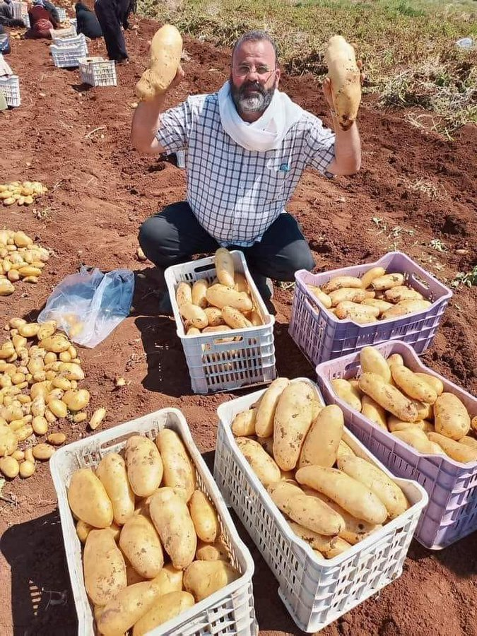 p_dusabimana's tweet photo. Irish potato Farming is really promising and productive! If you like what you see, Retweet! https://t.co/NCymu0324b