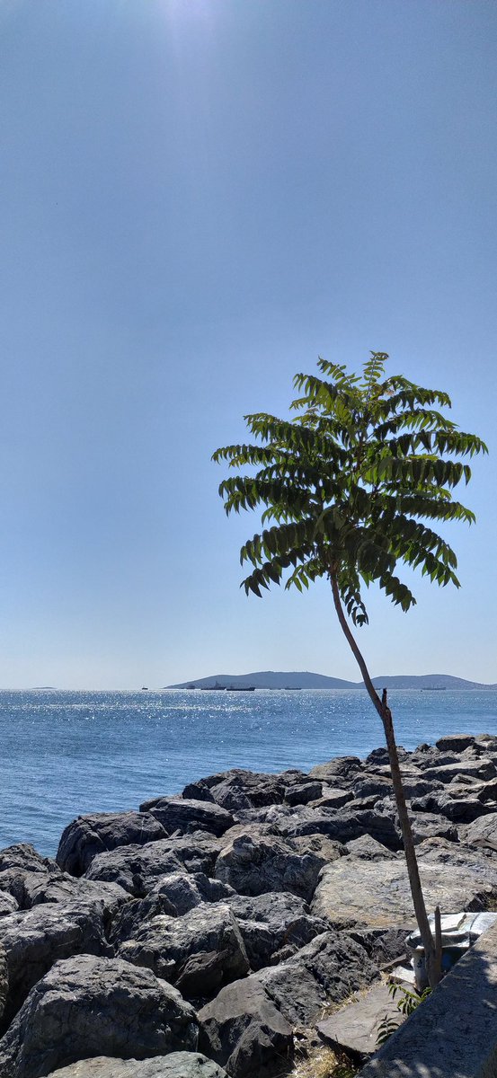 Neler neler geçmedi ki...