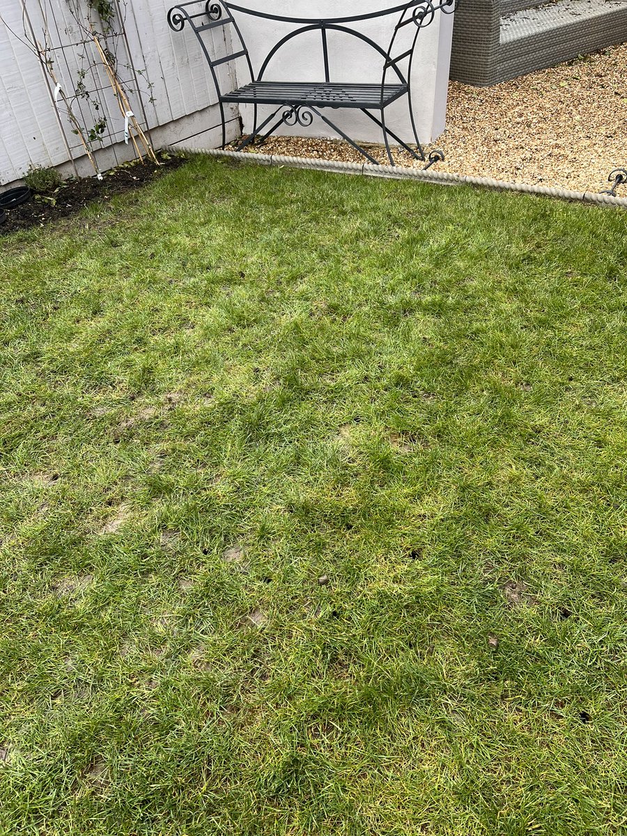 DH_Maintenance's tweet image. Then some more #clearing before making a start on more Hollow Tining - couldn’t believe how damp the one is 🙈 #gluttenforpunishment - manual &amp;amp; got to be filled #manually too &amp;amp; 2 more to do 🙈 looking forward to results going forward 👍 have a great evening everyone ❤️