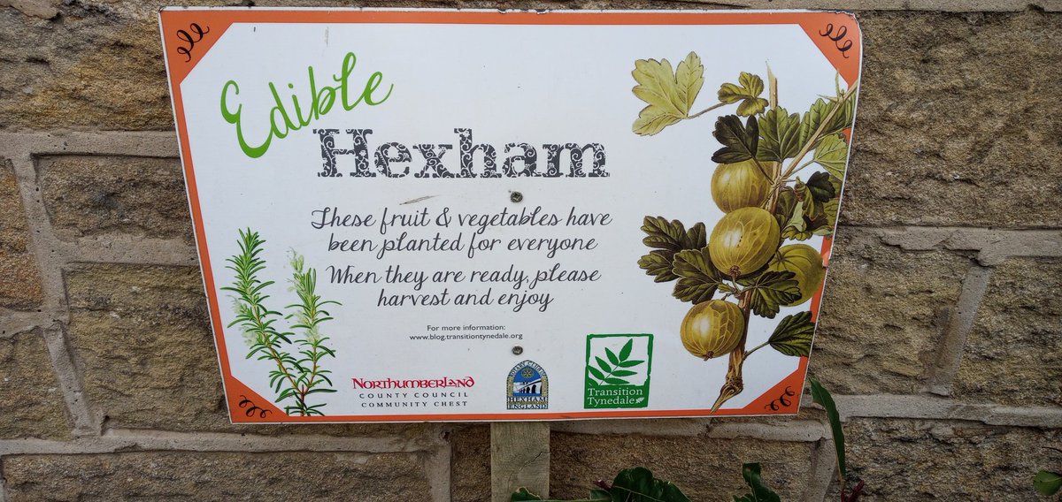 Guildford's tweet image. #hexham
#frithstool
#cript
#northumberland