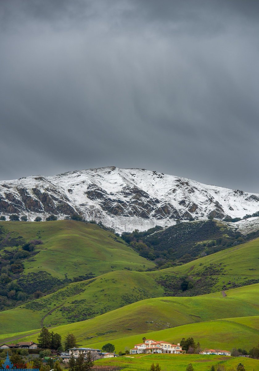 Michael Tan tweet media