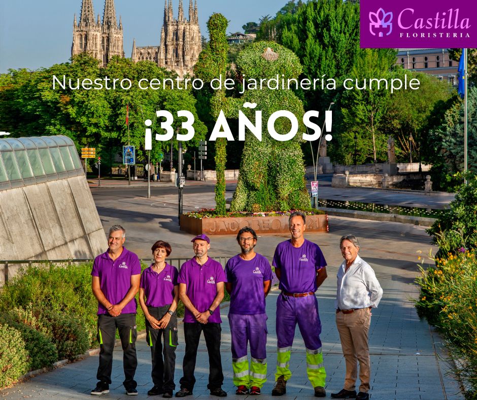 ¡Estamos de celebración! 🥳

Hace 33 años que inauguramos nuestro Centro Jardinería Castilla Floristería y desde entonces no hemos dejado de dar un servicio completo e integral.

Enhorabuena a todos nuestros compañeros por este aniversario 🤩🤩

#burgos #artefloral #aniversario
