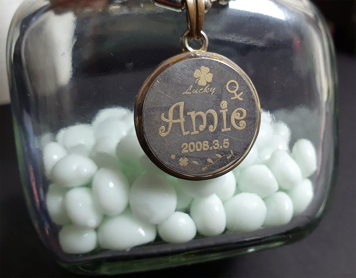 Zenophy/제노피 tweet media