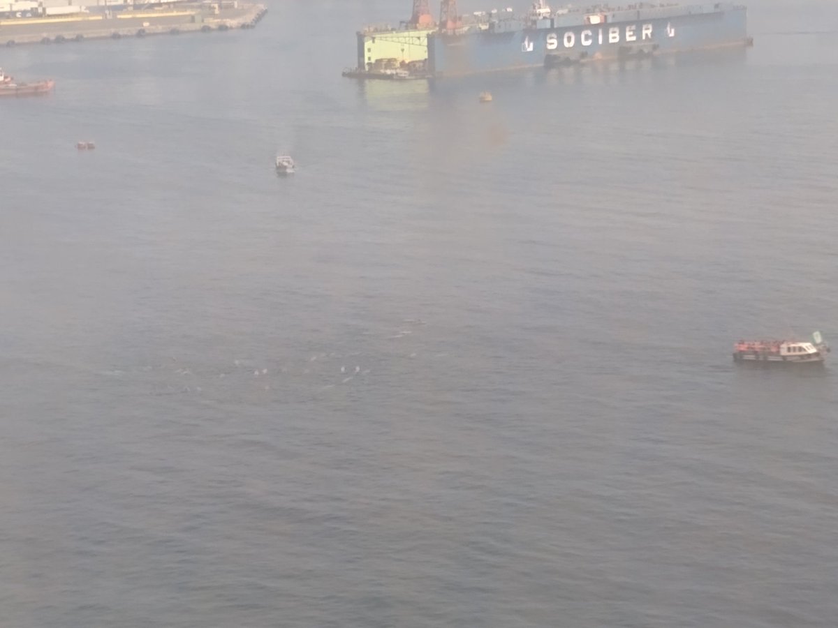 rradebac's tweet photo. Delfines vuelven a la bahía de Valparaíso. Las lanchas con turistas están felices con estos visitantes https://t.co/o1BhYuu6NG
