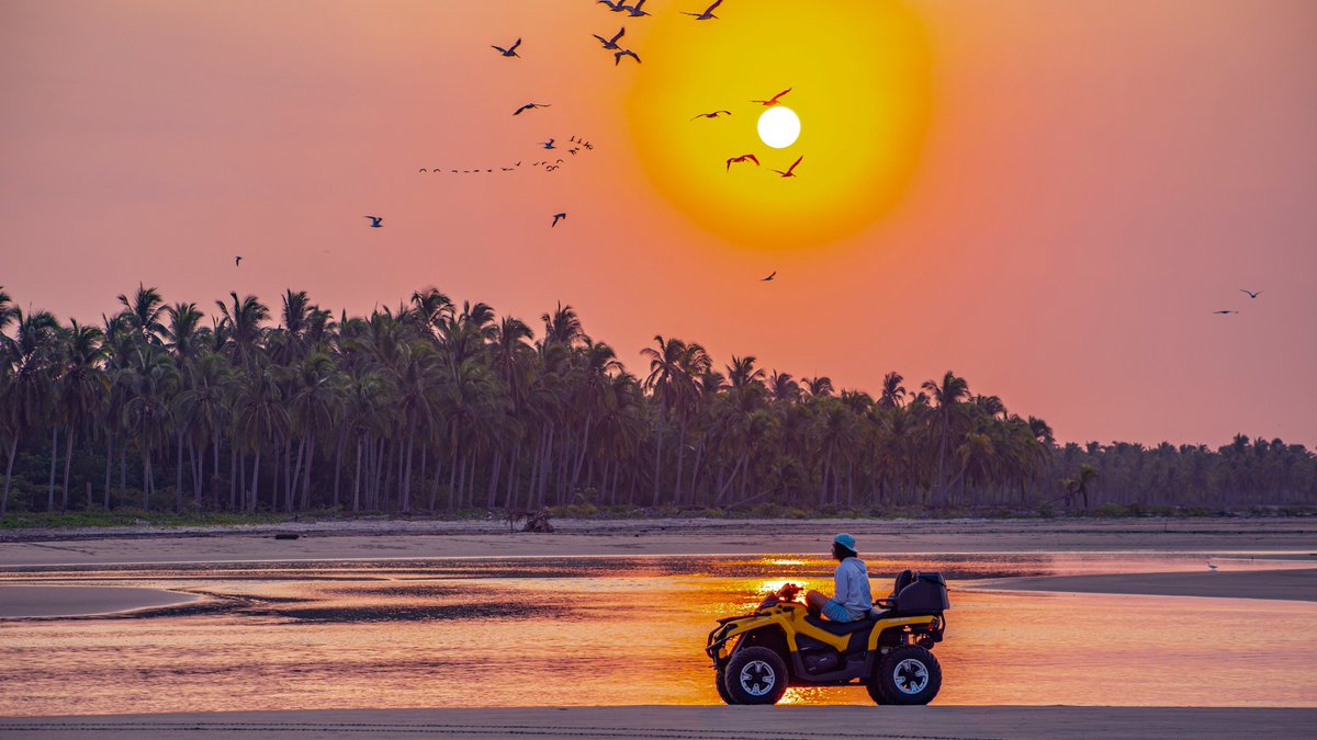 Explorez plus. Découvrez Acapulco avec ses plages immaculées au sable doré et une vie nocturne animée!
bit.ly/3ZcPQOV