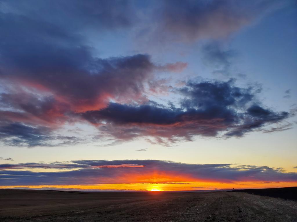 SunsetSnaps's tweet photo. RT @atThornhollow: Gone.
.
#cloudphotography #cloud_captures #cloudscapes #purpleclouds #sunsetphotography #sunsets_captures #sunsetlover #sunset_hunter #sunsetchaser #total_sunset #dusk #lastlight #duskphotography #cloudphotography #pnw #pacificnorthwes… https://t.co/u70ldi0FeJ