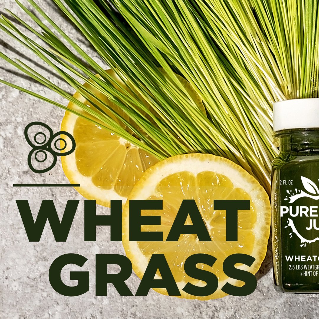 Pure Raw Juice on Twitter "Have you had a wheatgrassshot yet? Our