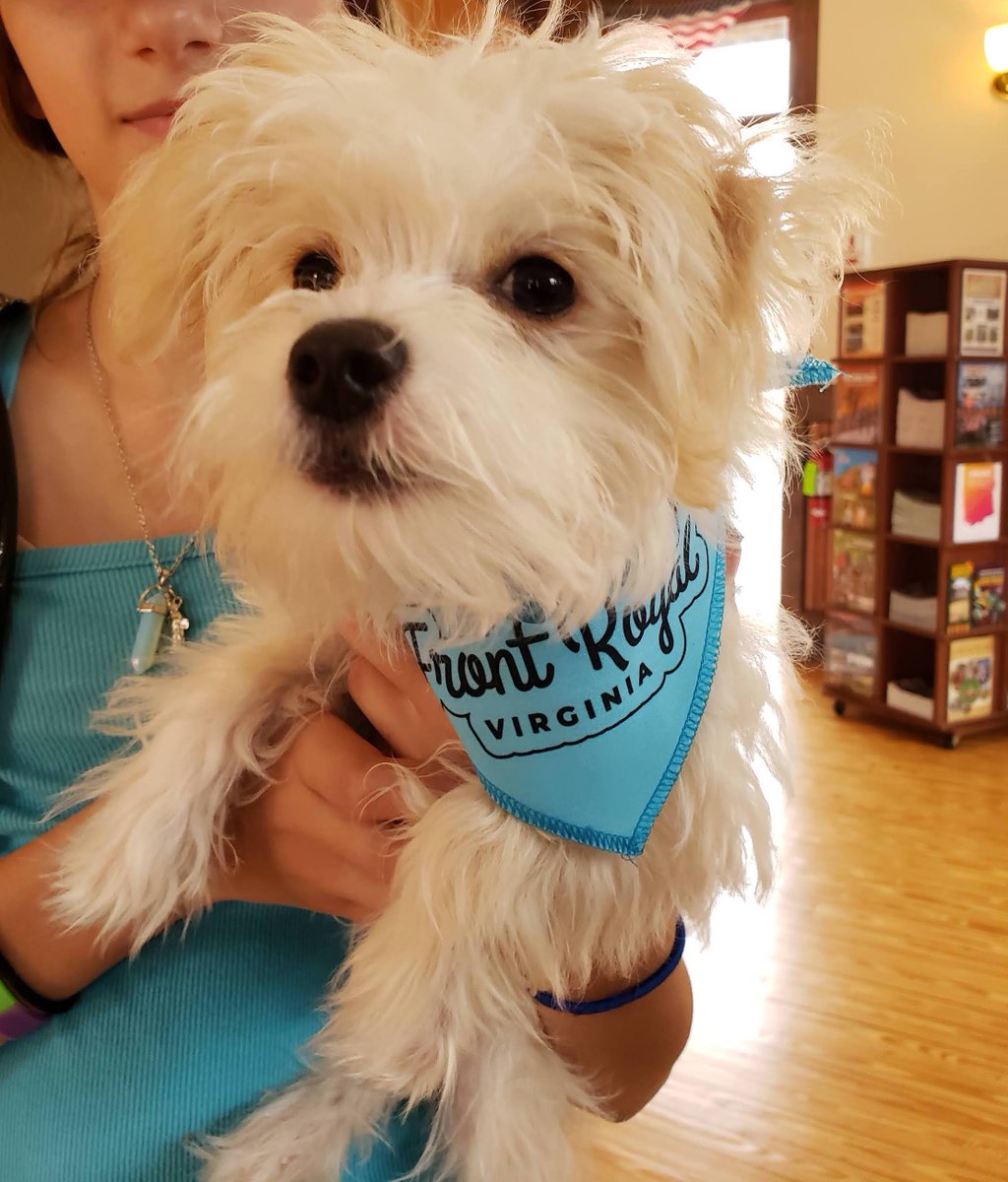 Front Royal and Warren County Visitors Center tweet media