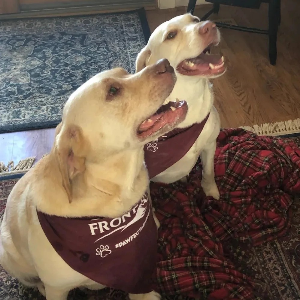 Front Royal and Warren County Visitors Center tweet media