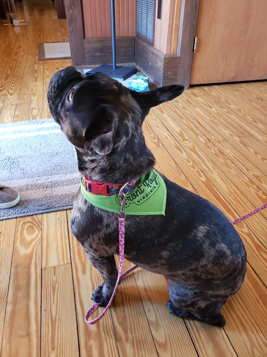 Front Royal and Warren County Visitors Center tweet media