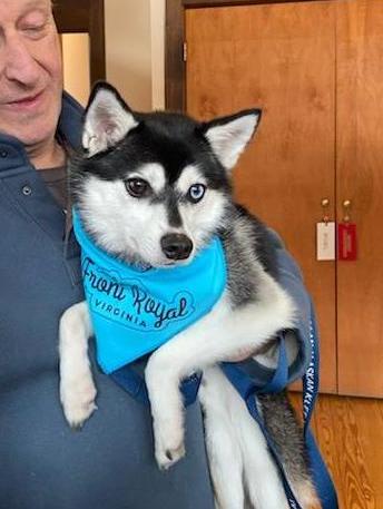 Front Royal and Warren County Visitors Center tweet media