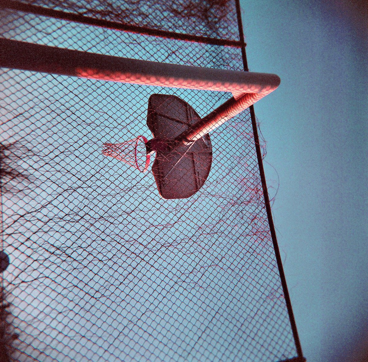 djdelgrande's tweet photo. Happy with my latest 120mm film work. Sonora Desert #tucson vibes with a Holga toy camera. The trick to the shallow depth of field, which is subtle, is in cranking Unsharp Mask. Probably should get these on #tezos @objktcom https://t.co/j8gt63fxgA