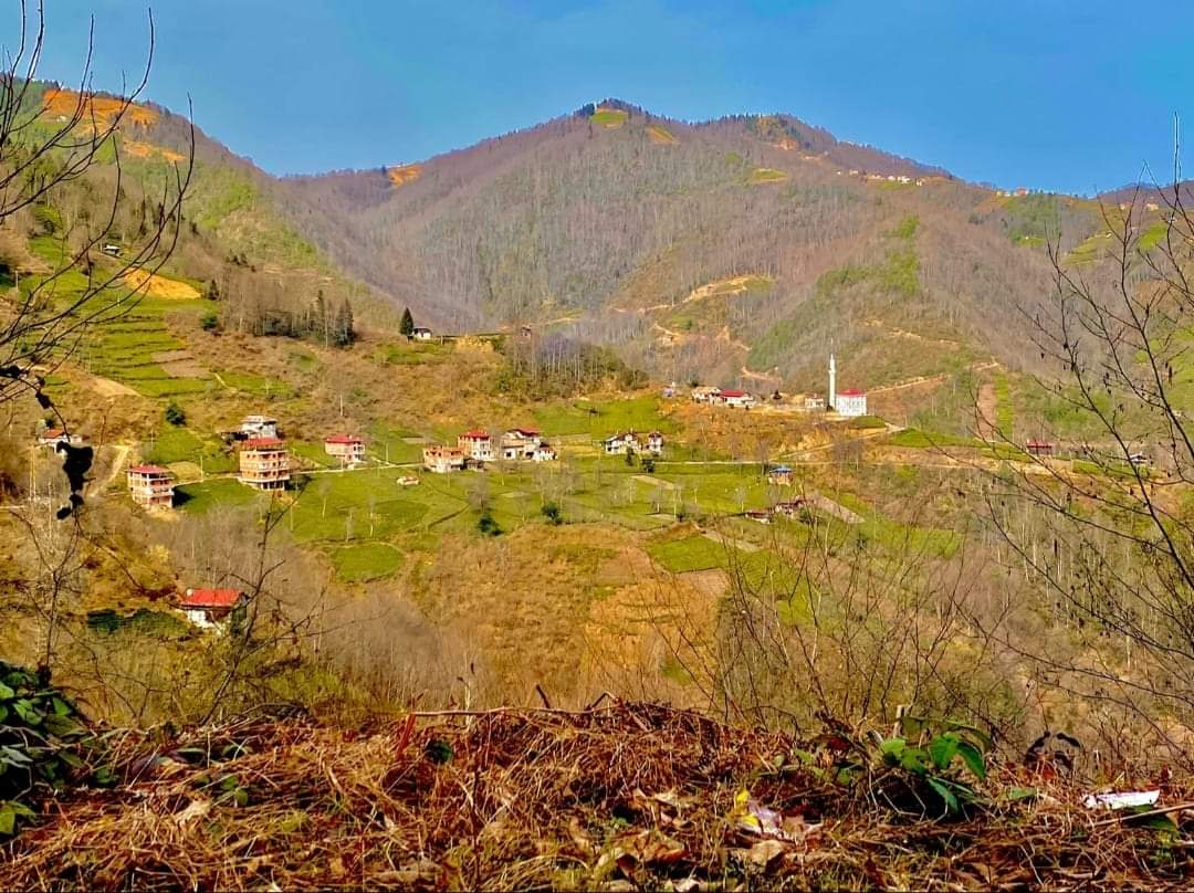 OF Kukuluyoz (28 Şubat)