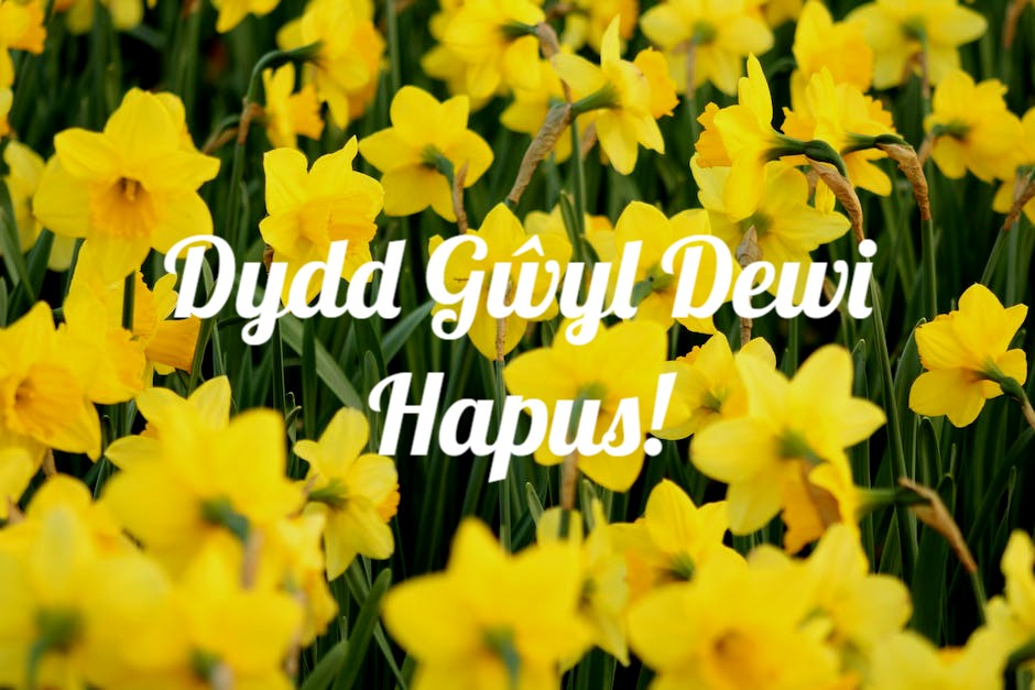 Wishing all our welsh friends a Happy St David's Day - Dydd Gwyl Dewi Hapus! #stdavidsday