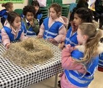 receptionatPP's tweet photo. Reception had an amazing time at the Farm today. We listened to the story of The Three Little Pigs and created our own houses made of straw, sticks and bricks and tried to huff and puff and blow them down! We then toured the farm and learnt about real pigs! https://t.co/0IZZIJ1Wau