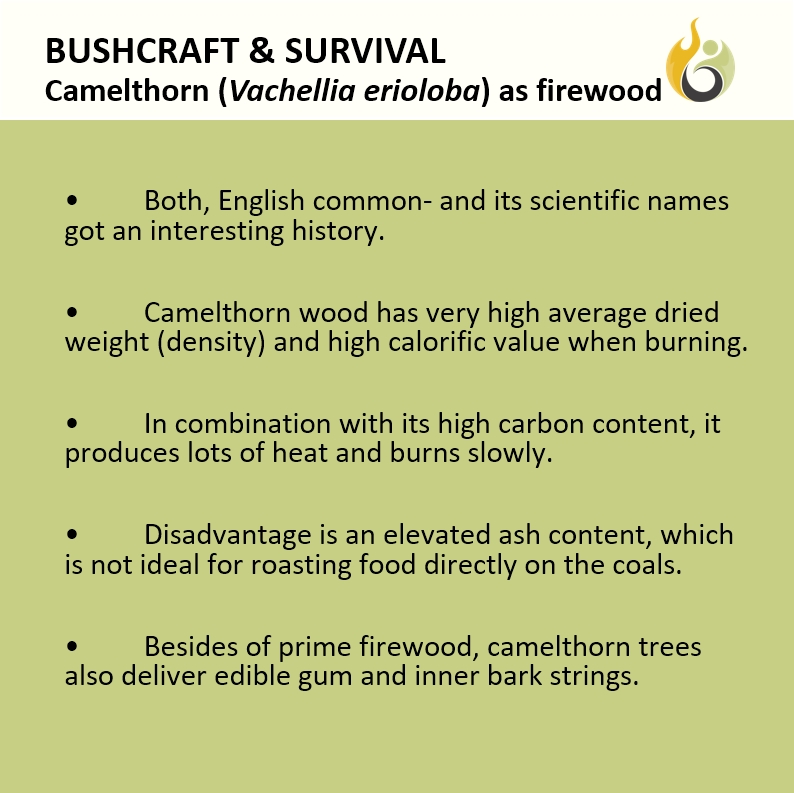 Bushguide101 tweet media