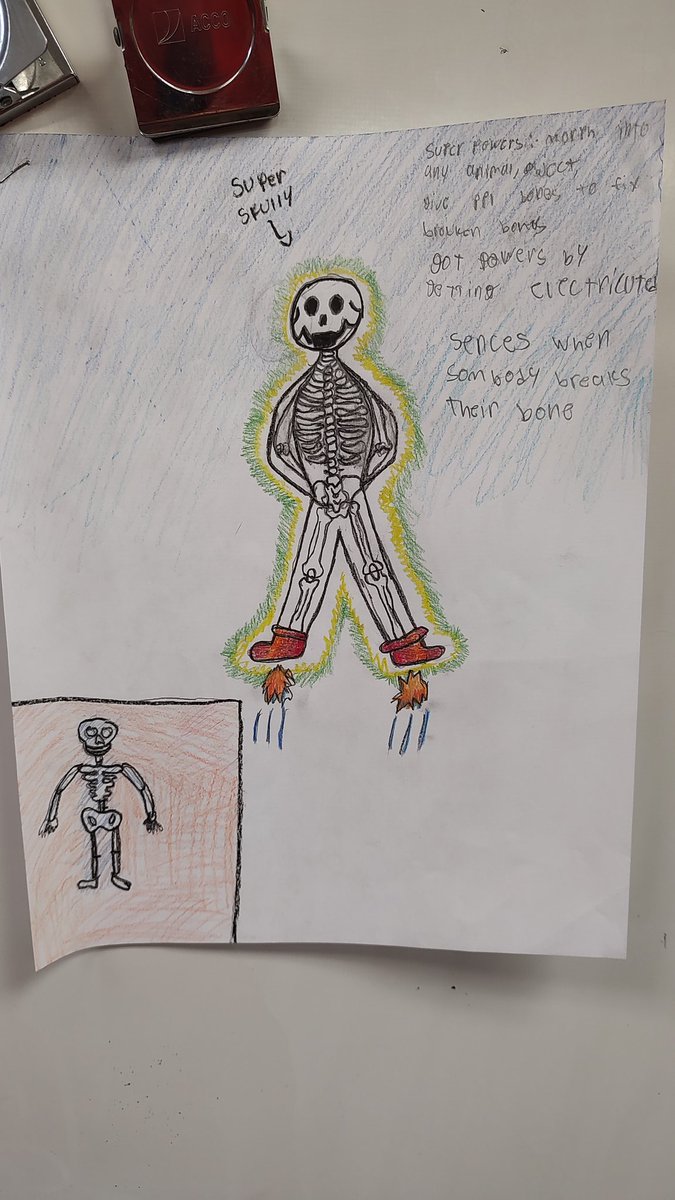 Terri Stauffer tweet media