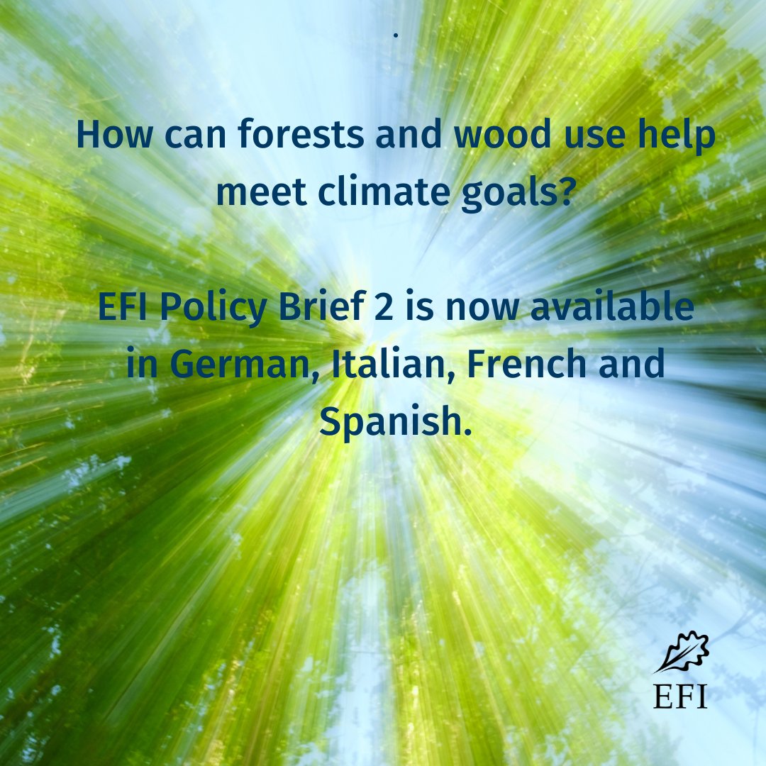 #Policybrief: How can #forests and wood use help meet climate goals❓

📢The brief – co-authored by ForestPaths’ coordinator and project partners – is now available in German, Italian, French and Spanish. 

Download &amp; read the brief at:👇doi.org/10.36333/pb2