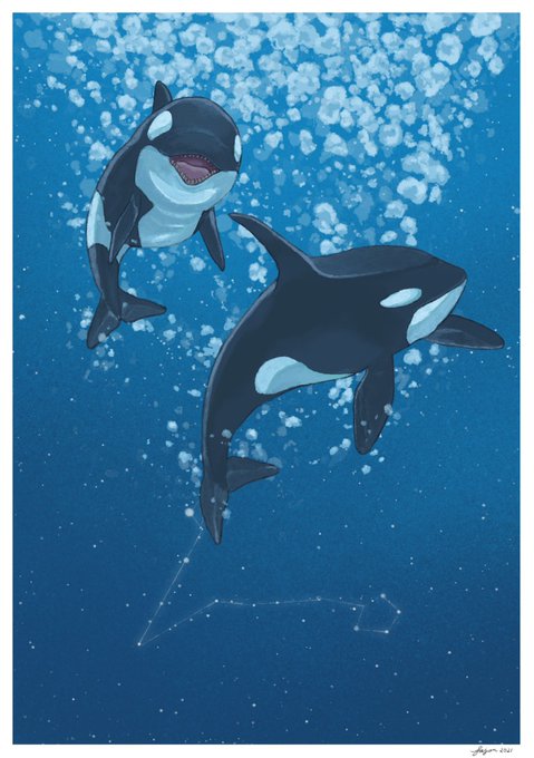 「bubble shark」 illustration images(Latest)