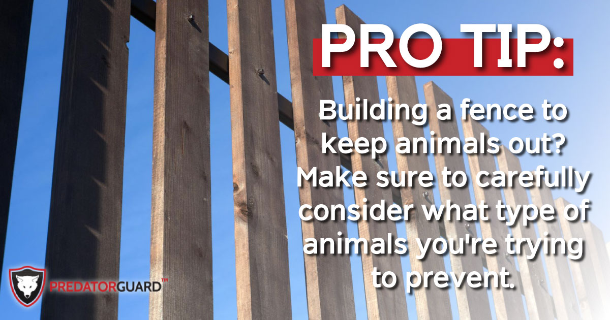 PredatorGuard's tweet photo. If you're trying to prevent #animals that dig, the fence will need to be partially buried in order to be effective. If you're trying to prevent animals that can jump high, such as deer (up to 8'), you'll need a really tall fence. #pestcontrol https://t.co/Sjsf3NJaht