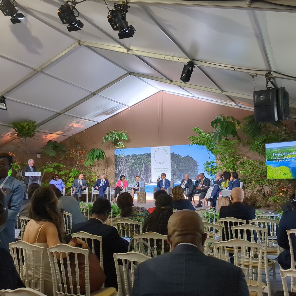 #OneForestSummit What financial flows to invest in sustainable development of tropical forests ? Beyond carbon credits, the need to explore fiscal policies, sovereign guarantees, debt reduction or green bonds