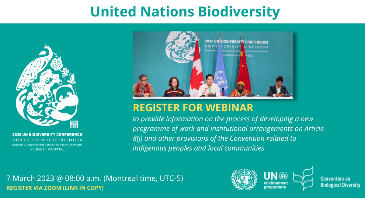 COMING UP: #Webinar to provide #info on the process of developing a new programme of work and institutional arrangements on Art. 8(j) and other provisions related to #IndigenousPeoples &amp; #localcommunities  

🗓️7 Mar @ 8 AM (Mtl time, UTC-5) 

Register: zoom.us/webinar/regist…