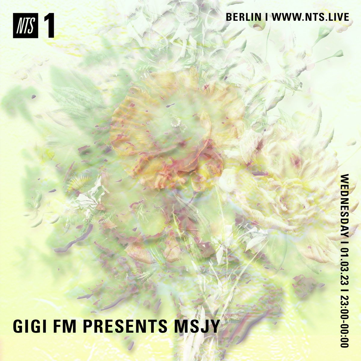 @NTSlive Up next, @GiGiFM3 present a liquid journey narrating Pluto moving into Aquarius for the next 20 years from guest MSJY Tune in: nts.live/1